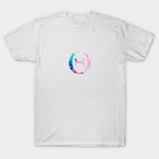 Rainbow Marble Theta T-Shirt